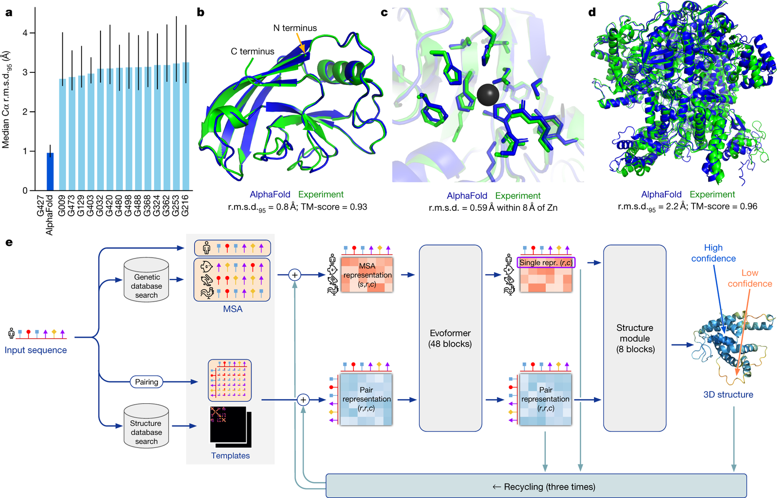 AI protein structure prediction visualization showing D-I-TASSER's breakthrough in modeling complex multi-domain proteins